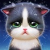 KittenMatch